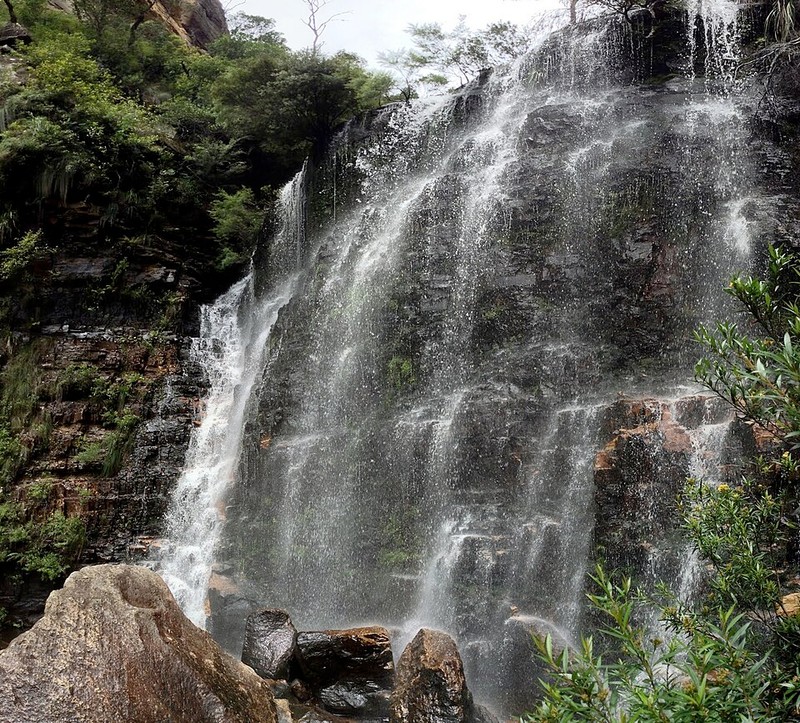 蓝山国家公园 - photo 15