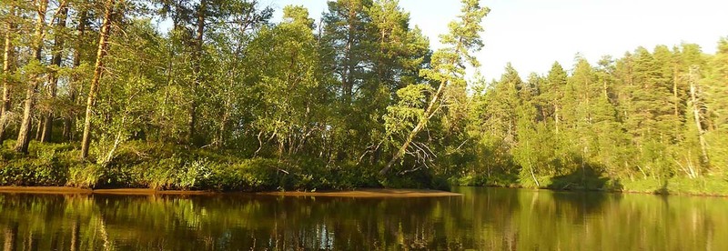 Lemmenjoki Nationalpark
